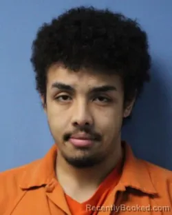 Mugshot of CHRISTIAN R LYNN