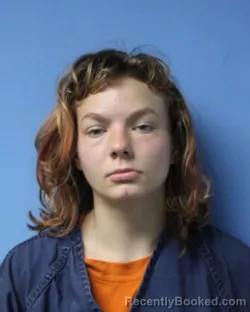Mugshot of MELODY KATHERINE-MARIE FISH