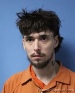 Mugshot of CURTIS J JOHNSTONE booked in Wayne County, New York on March 17, 2026