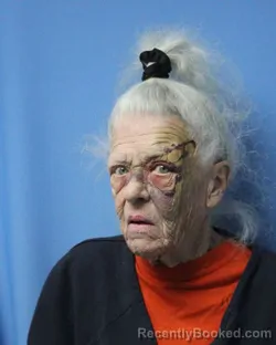 Mugshot of LINDA TEAGUE booked in Wayne County, New York on March 21, 2026