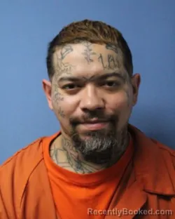 Booking photo from Wayne County, New York