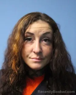 Mugshot of NICOLE L TEMPLE