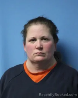 Mugshot of CHRISTINE E BREWER booked in Wayne County, New York on March 17, 2026