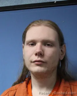 Mugshot of RYAN J BAILEY booked in Wayne County, New York on March 17, 2026