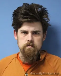 Mugshot of VAN W GORTON booked in Wayne County, New York on March 29, 2026