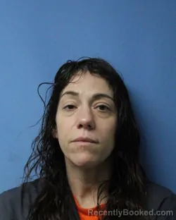 Mugshot of SARAH MALONE booked in Wayne County, New York on April 3, 2026