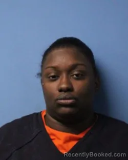 Mugshot of DESTANIE BRUNSON booked in Wayne County, New York on April 7, 2026