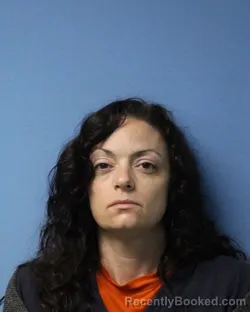 Mugshot of KIMBERLY L TANNER booked in Wayne County, New York on April 21, 2026