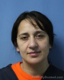 Mugshot of DESARAY M MARCANO booked in Wayne County, New York on May 11, 2026