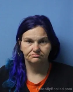 Mugshot of RACHEL L KNEPP booked in Wayne County, New York on June 29, 2026