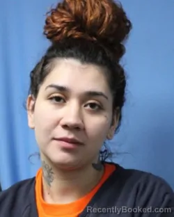 Mugshot of Sierra Suzanna Hussey booked in Wayne County, New York on September 5, 2026
