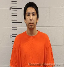 Mugshot of Dante Larell Green booked in Barnes County, North Dakota on August 4, 2026