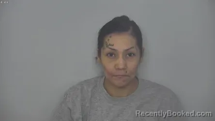 Mugshot of BIANCA TASHINA COOK booked in Burleigh County, North Dakota on May 5, 2026