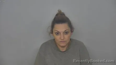 Mugshot of BRIDGIT LEE MOSER