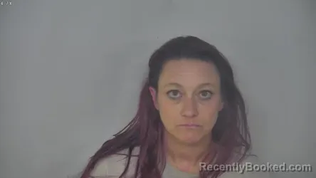 Mugshot of BRANDY LYNN PALMER