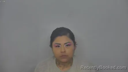 Mugshot of CHERELYNN CYRENE RUIZ booked in Burleigh County, North Dakota on March 27, 2026