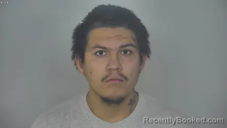 Mugshot of DAMIEN CARTER ANDERSON