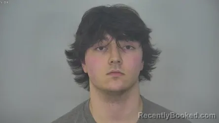 Mugshot of DEVLINN JAMES SUTTON
