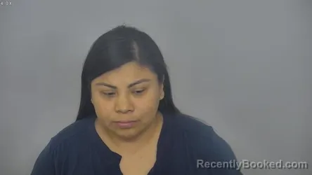 Mugshot of ELIZABETH LUCIROSE LUNDERMAN booked in Burleigh County, North Dakota on March 28, 2026