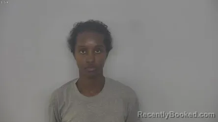 Mugshot of Hawa Ahmed Burghart booked in Burleigh County, North Dakota on October 22, 2026
