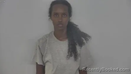 Mugshot of HAWA AHMED BURGHART booked in Burleigh County, North Dakota on July 4, 2026