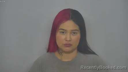 Mugshot of IYANNA MARIE BURRISWHITEOWL booked in Burleigh County, North Dakota on April 2, 2026