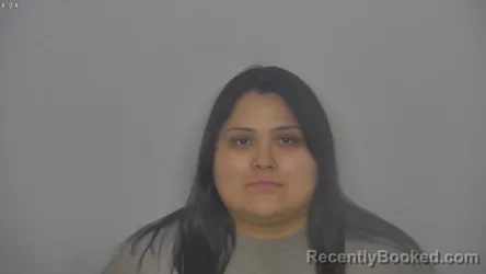 Mugshot of Leelee Annabelle Baker booked in Burleigh County, North Dakota on August 20, 2026