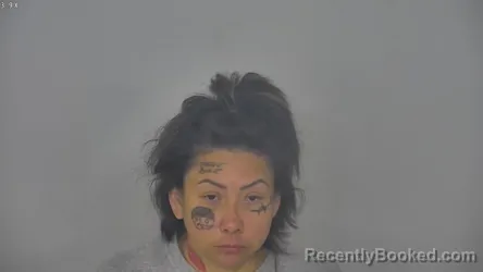 Mugshot of LISA STEPHANIE BROWN booked in Burleigh County, North Dakota on June 24, 2026