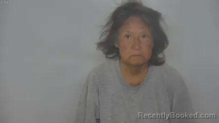 Mugshot of LISA KAYE PAUL booked in Burleigh County, North Dakota on April 25, 2026