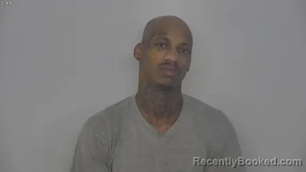 Mugshot of MARTISE LAWON HILL