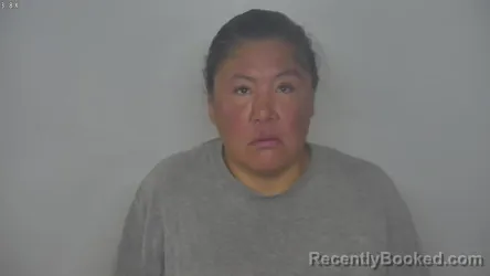 Mugshot of PRISCILLA LYNN BULLBEAR booked in Burleigh County, North Dakota on May 5, 2026