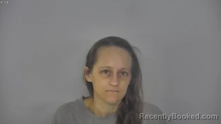 Mugshot of SARAH ANN FROHLICH