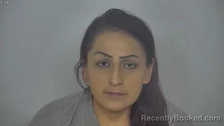 Mugshot of SUSAN LOUISE HOLSTEIN