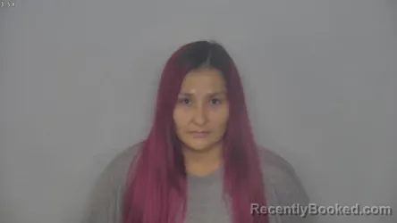 Mugshot of Tyann Raye Bravebull booked in Burleigh County, North Dakota on October 23, 2026