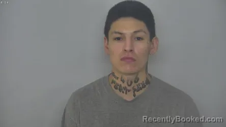 Mugshot of WAYLYNN ARCHIE BEARCUB