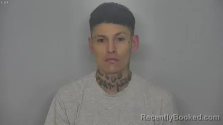 Mugshot of WAYLYNN ARCHIE BEARCUB