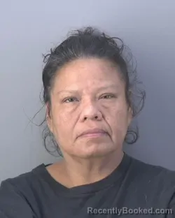 Mugshot of DEANA KAY HALL