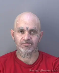 Mugshot of JOSE GUADALUPE MIRELES