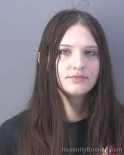 Mugshot of ERICA MICHELLE POWERS booked in Hendry County, Florida on April 10, 2026