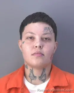 Mugshot of ALEXIS MARIE PEREZ booked in Hendry County, Florida on July 28, 2026