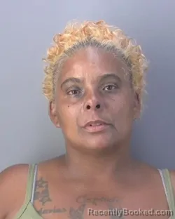 Mugshot of DOROTHY MICHELLE WILLIAMS booked in Hendry County, Florida on April 18, 2026