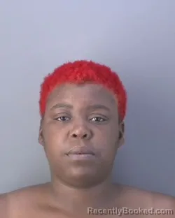 Mugshot of Erykah Zykia Flournah booked in Hendry County, Florida on August 1, 2026