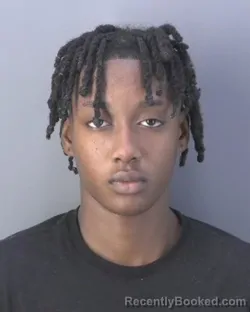 Mugshot of FANICE ROSEANNE THOMAS