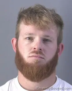 Mugshot of DAGAN MICHAEL HOLLOWAY