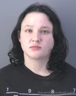 Mugshot of LEANDRA SUE POWERS