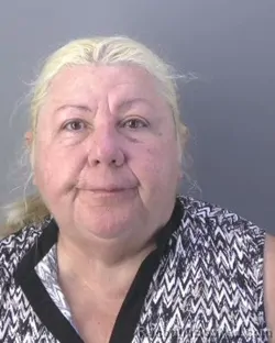 Mugshot of ODALYS AMADOR FANEGO booked in Hendry County, Florida on April 10, 2026