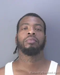 Mugshot of DIMITY LAMONT PEARSON