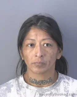 Mugshot of Nicki Louise Osceola booked in Hendry County, Florida on October 11, 2026