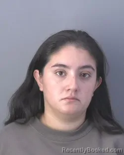 Booking photo from Hendry County, Florida