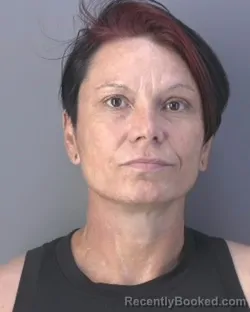 Mugshot of AMANDA LEIGH RAZO booked in Hendry County, Florida on July 2, 2026